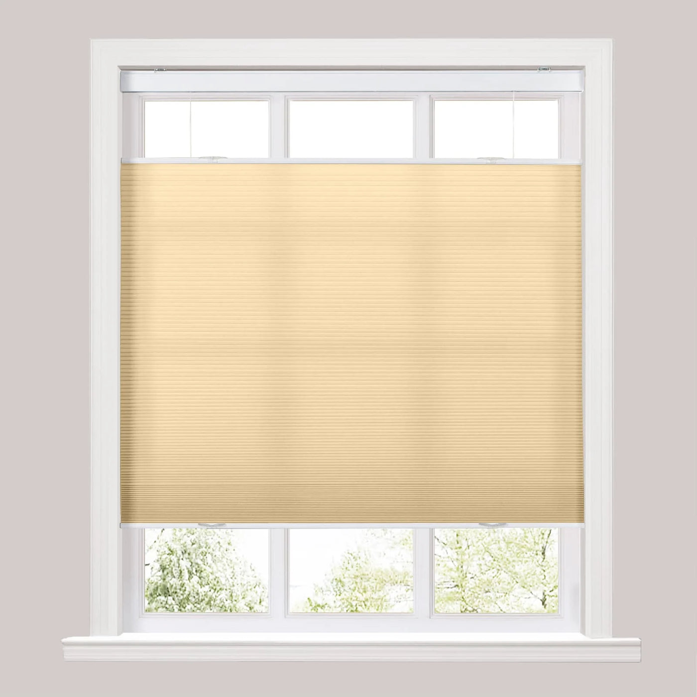 Silvia Top Down Bottom Up Light Filtering Cellular Shades Cordless TWOPAGES