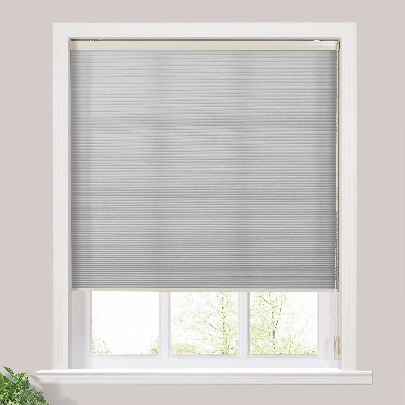Priya Light Filtering Cellular Shades Cord Lift TWOPAGES