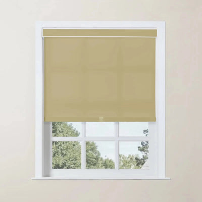 Alvin Basic Premium Blackout Cordless Roller Shades -TWOPAGES