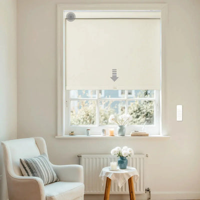 Alvin Motorized Blackout Boutique Roller Shade -TWOPAGES