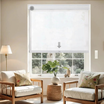 Alvin Motorized Sheer Light Filtering Roller Shade -TWOPAGES