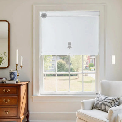 Alvin Motorized Waterproof Blackout Roller Shade -TWOPAGES